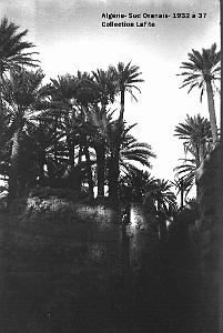 SUD ORANAIS  1932 A 1937  (36)